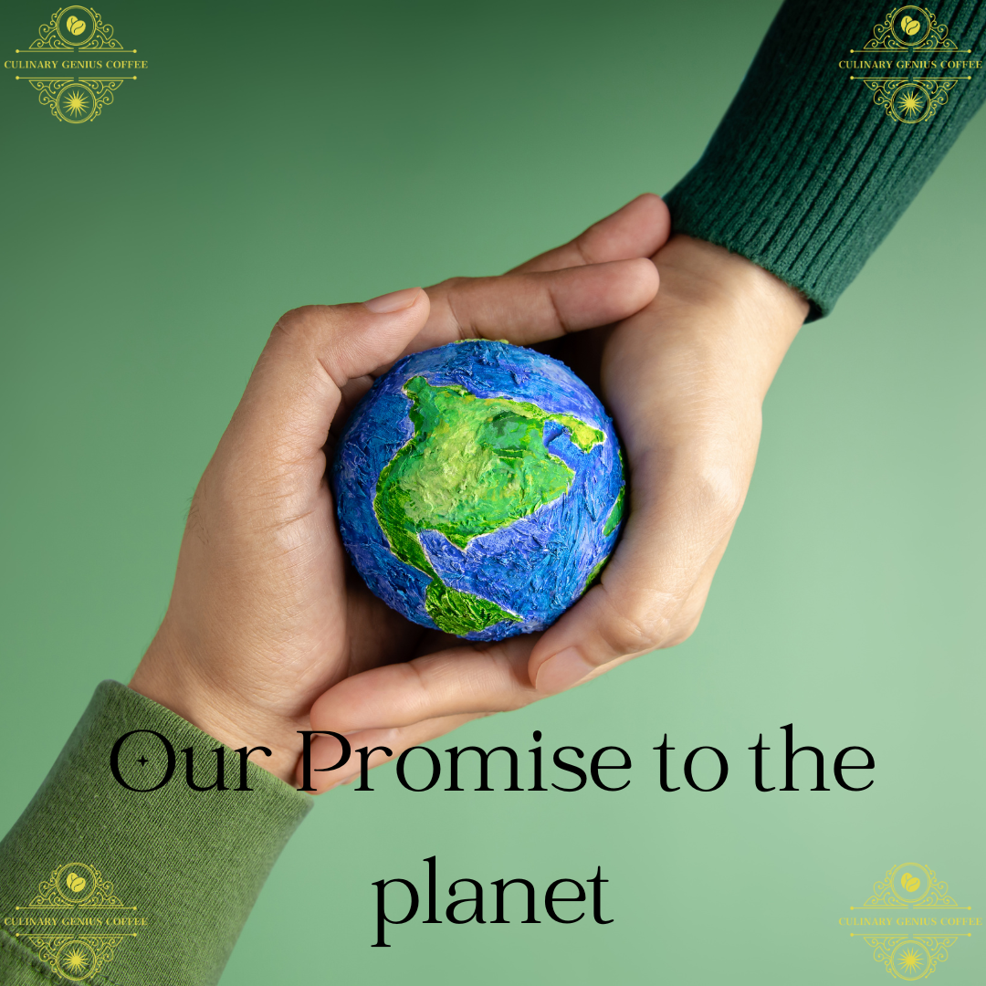 Our Promise to the Planet